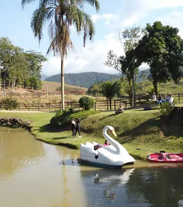lago