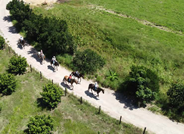 Feriado 7 de Setembro